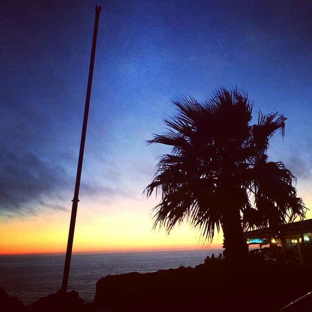 10632407_340496902775352_1908639067_n