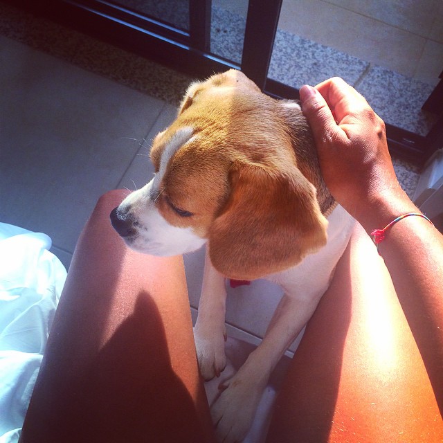 927432_827577520615802_950519517_n