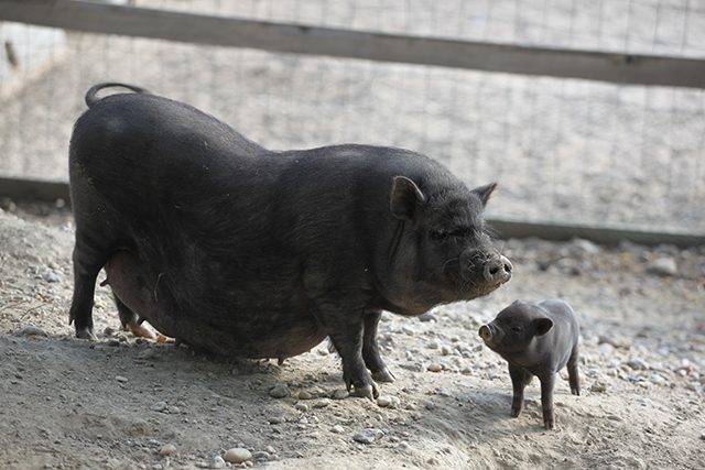 berries&passion_austrian riversurf camp12
