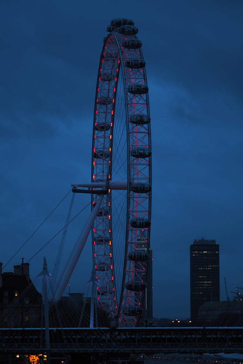 Berries&passion_london4