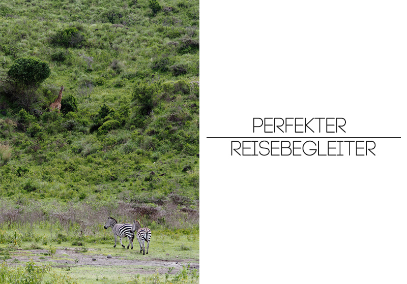 berries&passion_OlympusPEN2