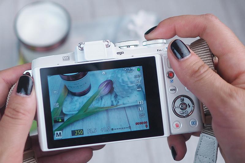 berries&passion_OlympusPEN7