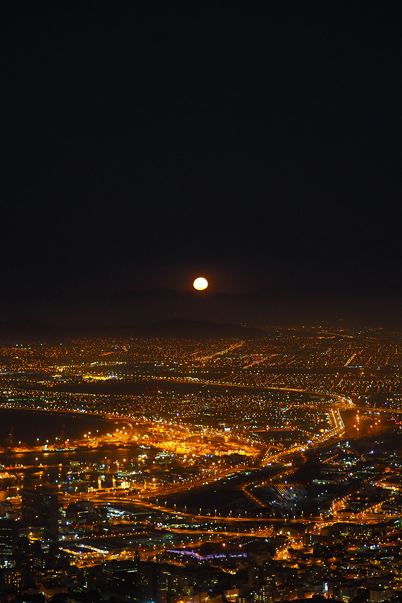 berries&passion_kapstadt25