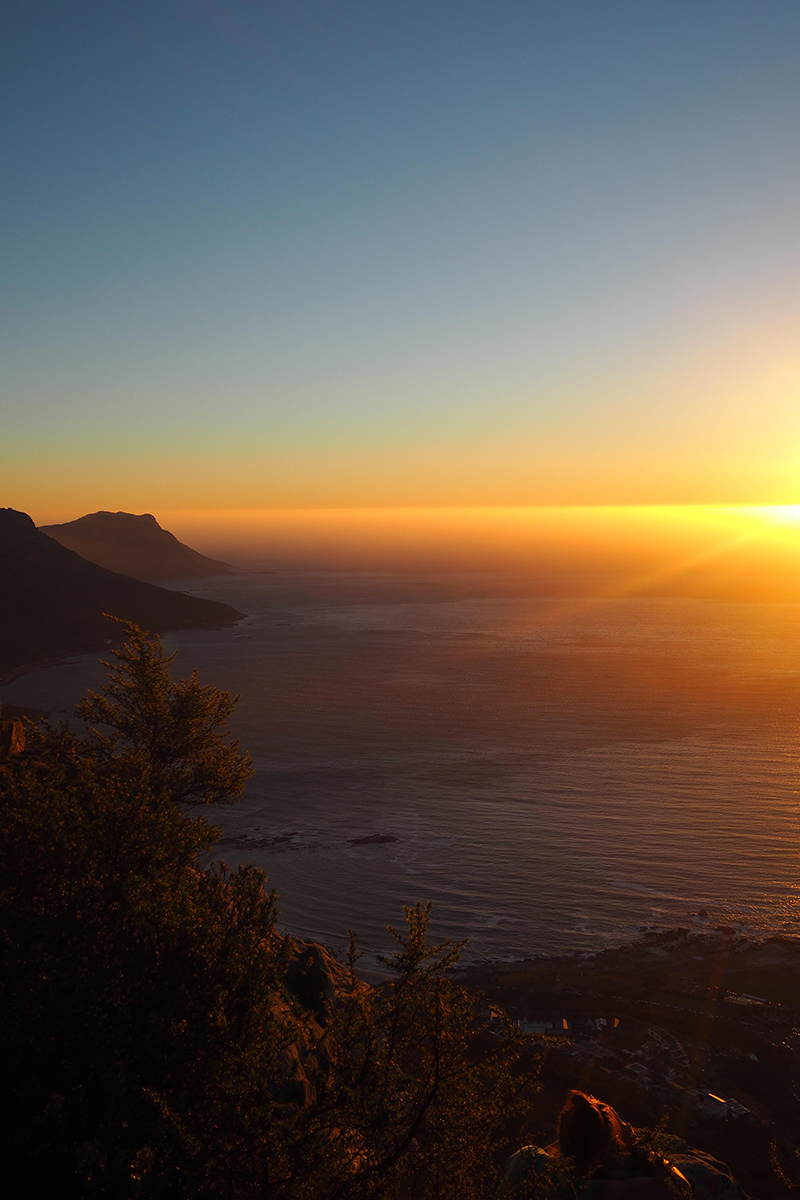 berries&passion_kapstadt28