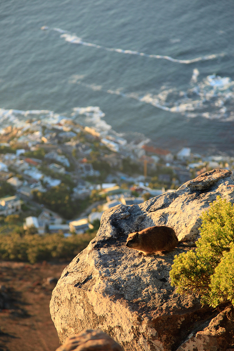 berries&passion_kapstadt35