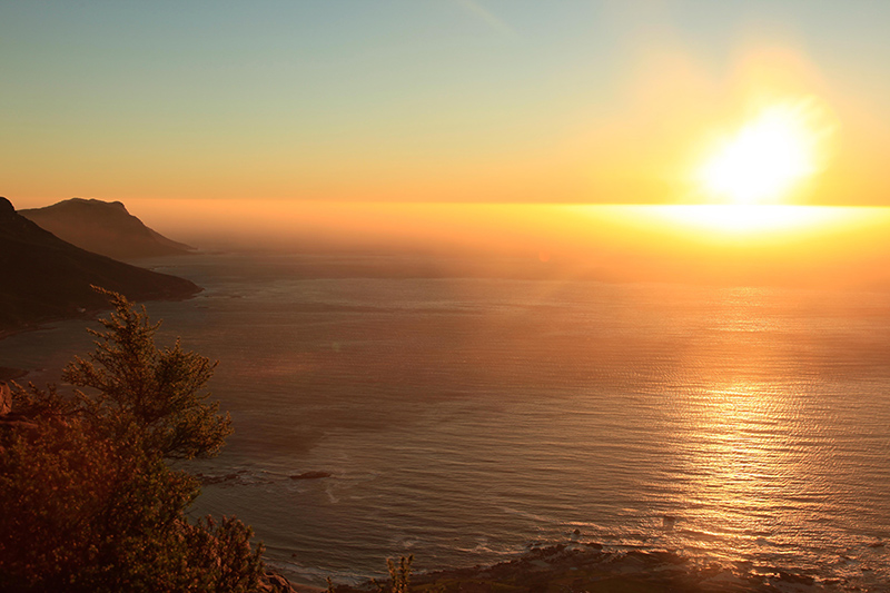 berries&passion_kapstadt36