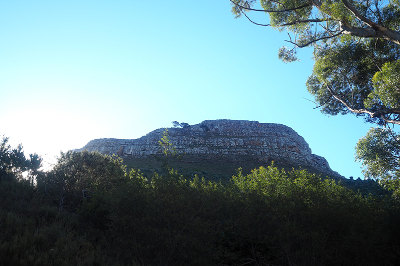 berries&passion_kapstadt44