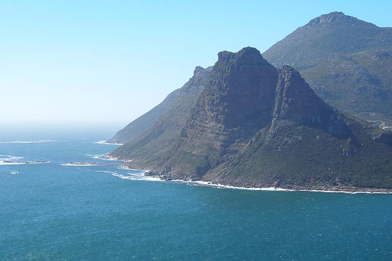 berries&passion_kapstadt46