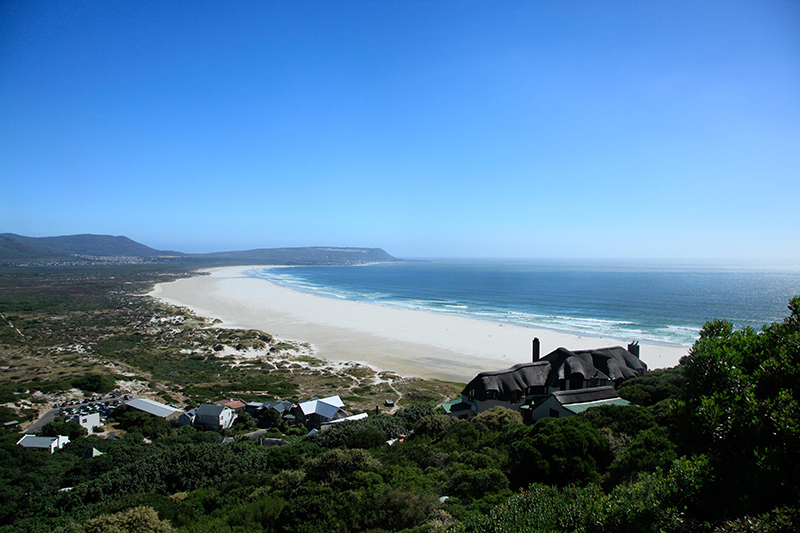 berries&passion_kapstadt47