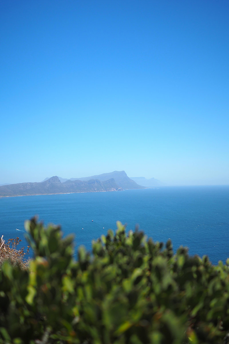 berries&passion_kapstadt55