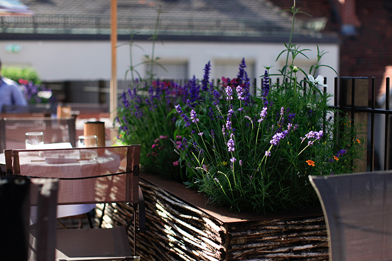 berries&passion_Louishotel3