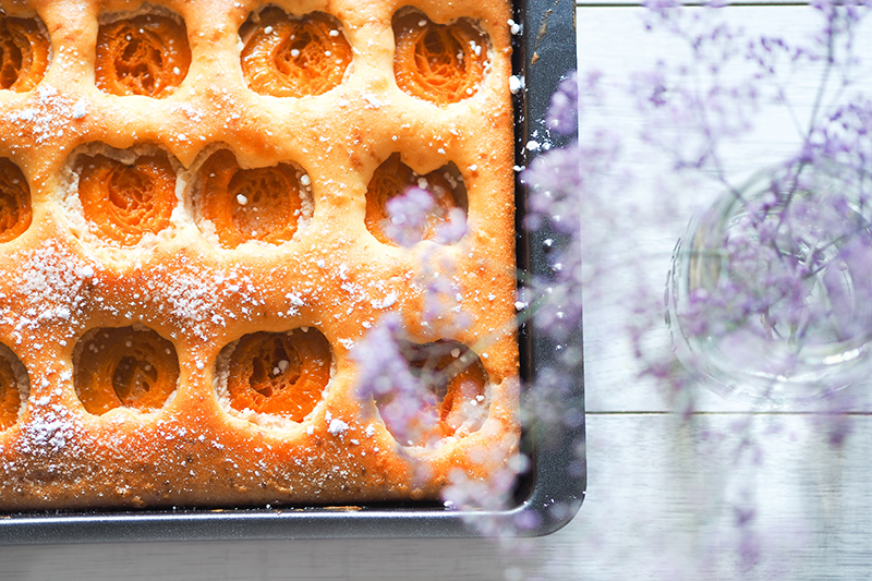 berries&passion_marillenkuchen2