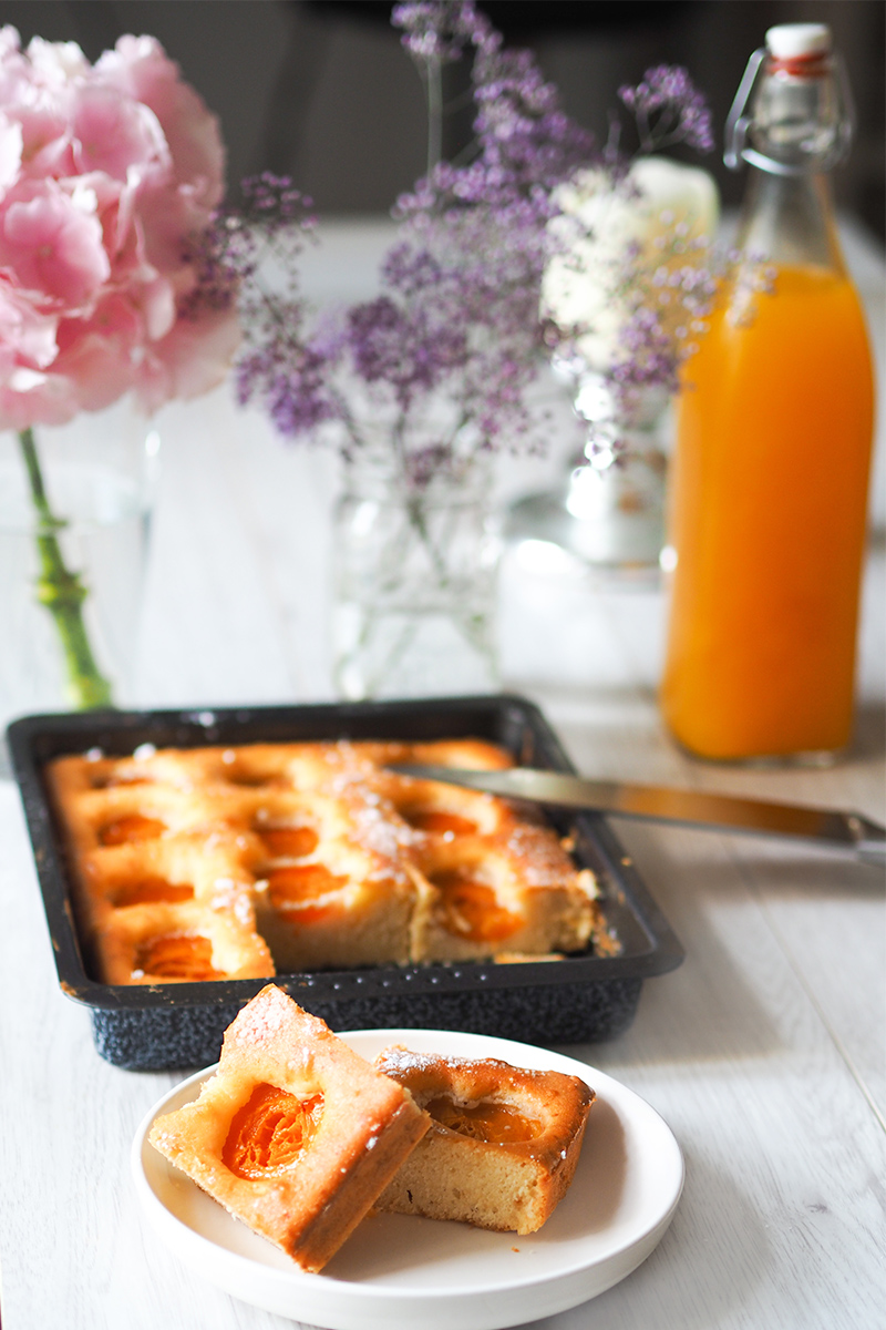 berries&passion_marillenkuchen3