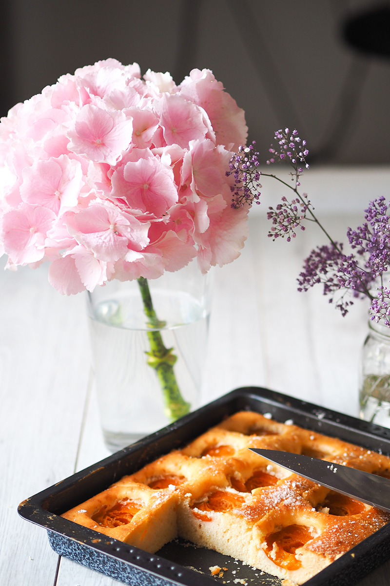 berries&passion_marillenkuchen4