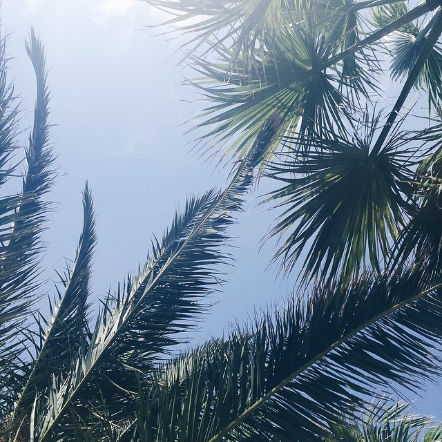 berries&passion_mykonos _instgram (1 von 23)