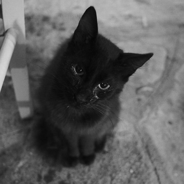 berries&passion_mykonos _instgram (10 von 23)