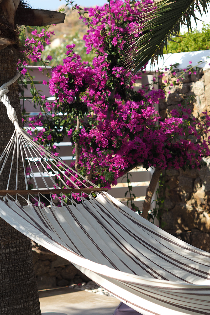 berries&passion_mykonosberries&passion_mykonos26