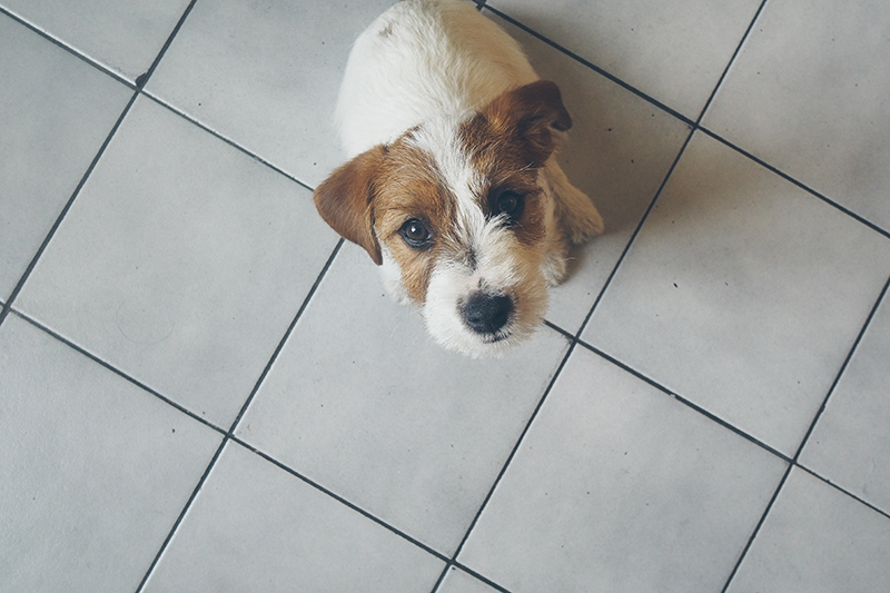 berries&passion_Nescafe2