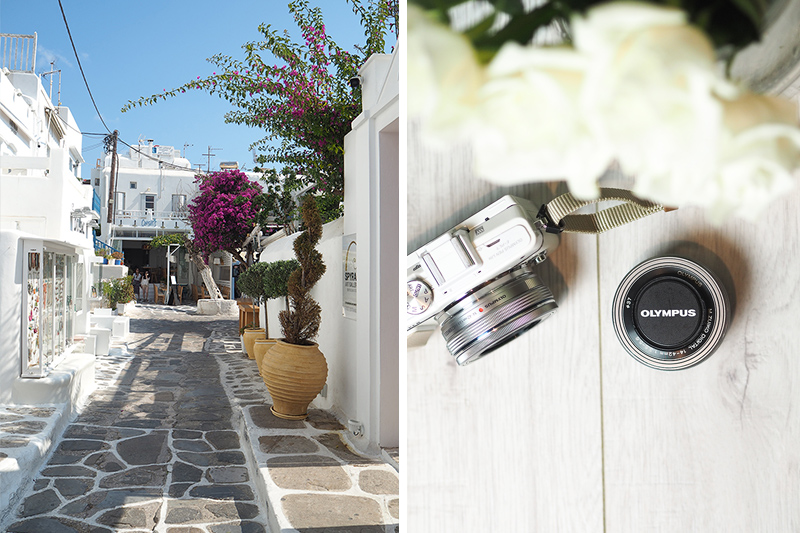 berries&passion_Olympus-PEN7