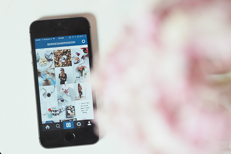 berries&-passion-_instagram