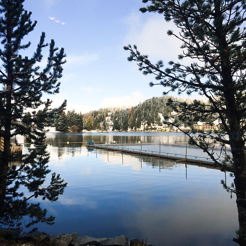 berries&passion_Hotel-Hochschober12