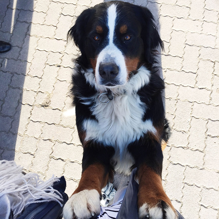 Berries-&-Passion_Proneben-Gut14