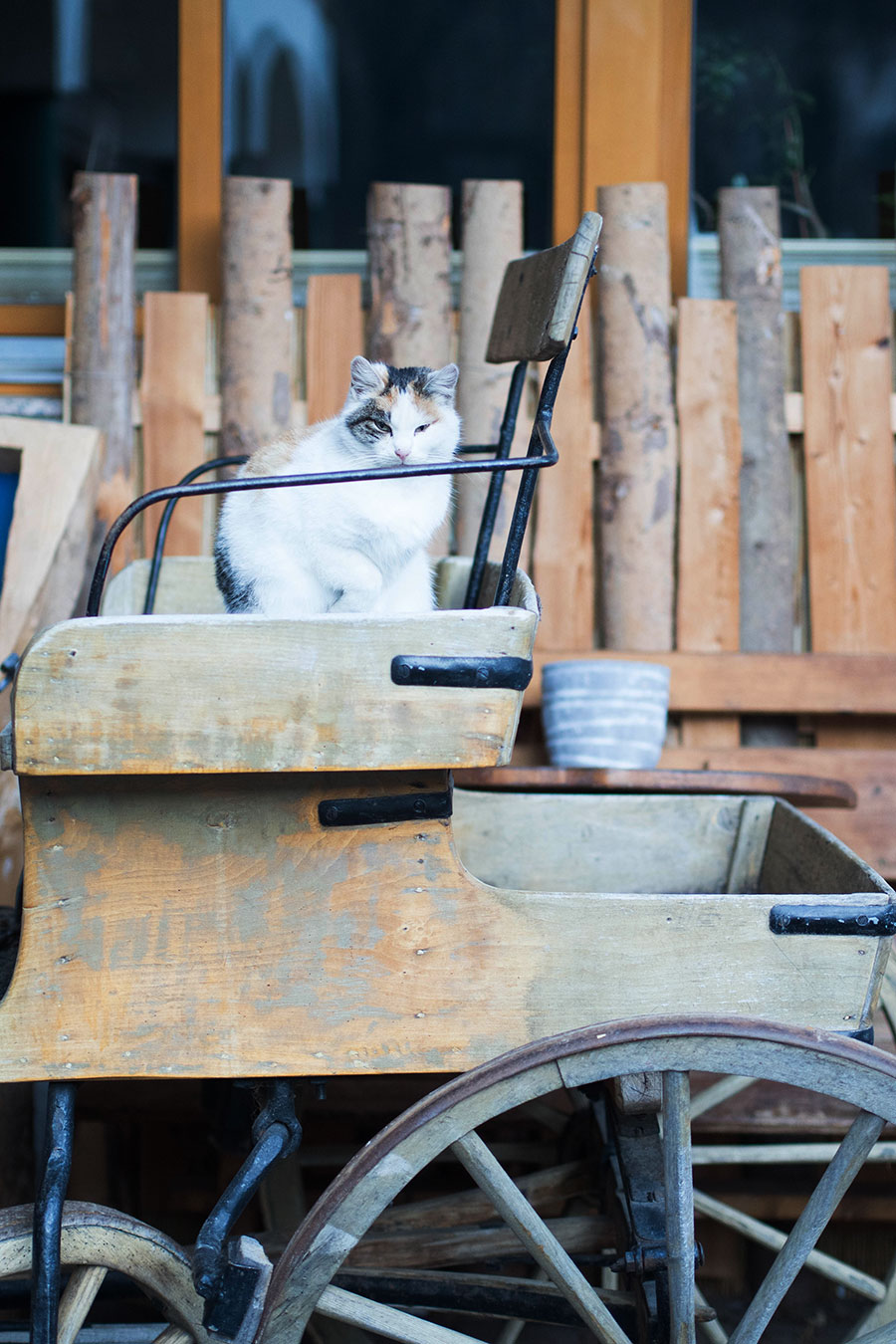 Berries-&-Passion_Proneben-Gut19