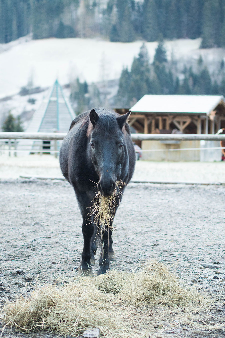 Berries-&-Passion_Proneben-Gut22