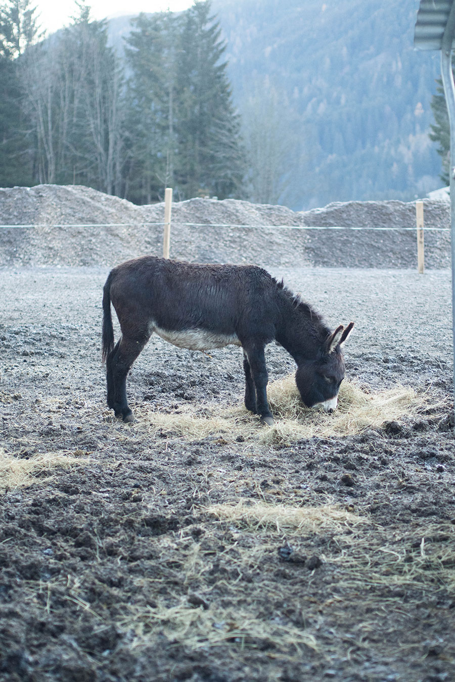 Berries-&-Passion_Proneben-Gut23