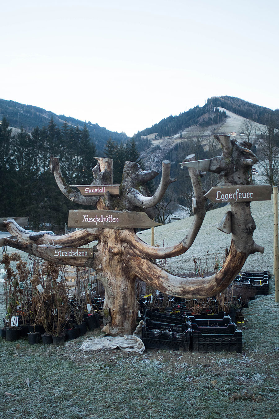 Berries-&-Passion_Proneben-Gut25