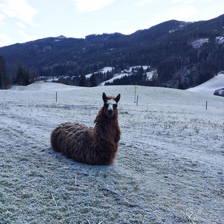 Berries-&-Passion_Proneben-Gut3