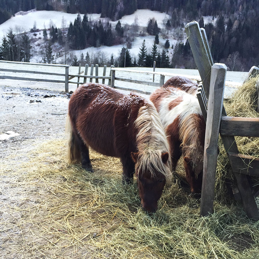 Berries-&-Passion_Proneben-Gut4