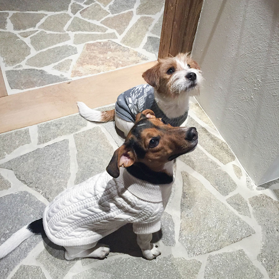 Berries-&-Passion_Proneben-Gut7