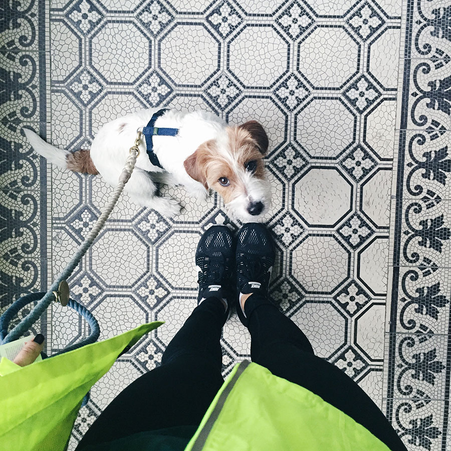 berries&passion_2weeksoffitness7