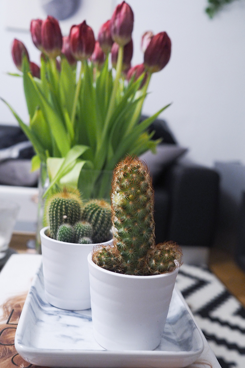 Berries&Passion_SCS6