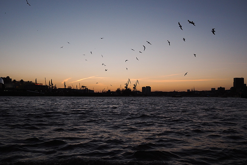 Berries&Passion_hamburg22