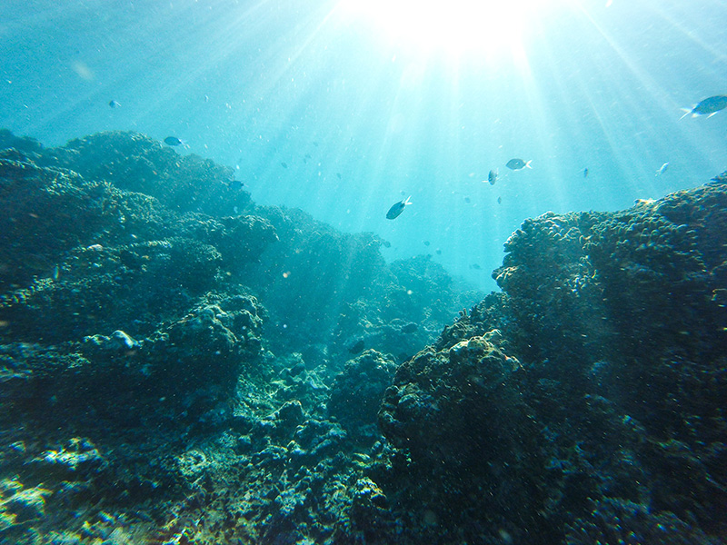 berries&passion_mauritius16