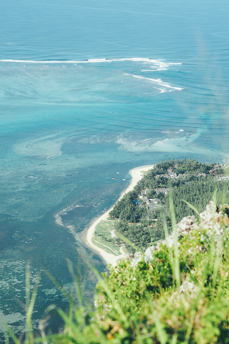 berries&passion_mauritius19