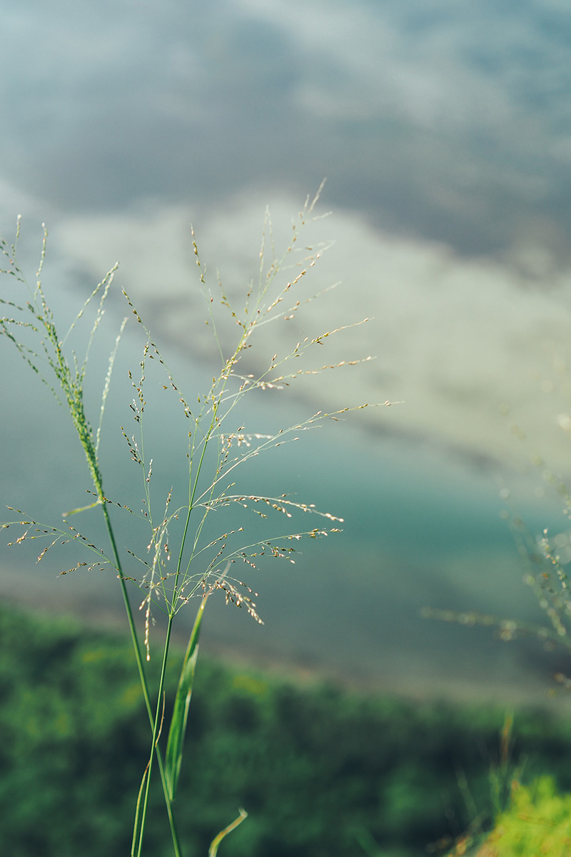 berries&passion_mauritius20