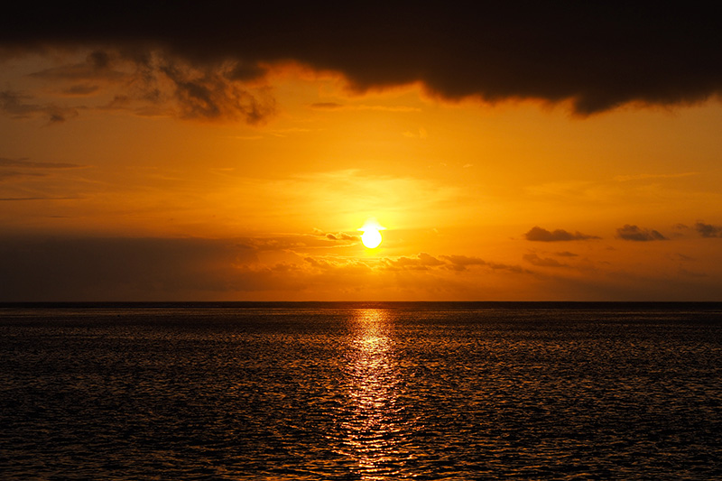 berries&passion_mauritius22