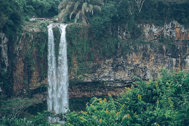 berries&passion_mauritius29