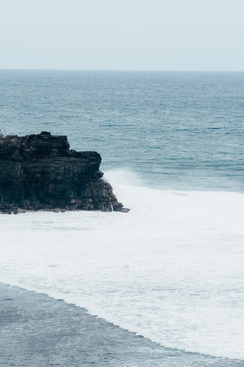 berries&passion_mauritius31