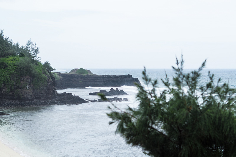 berries&passion_mauritius4