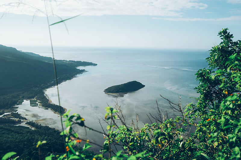 berries&passion_mauritius8