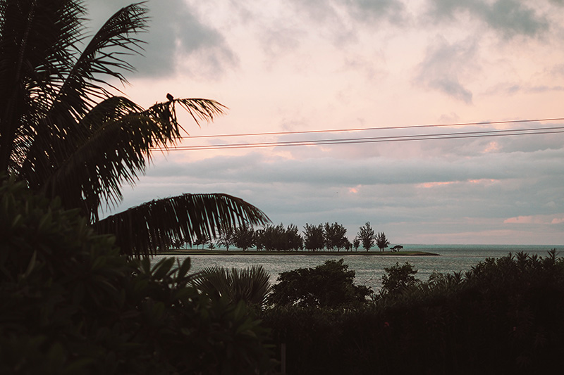 berries&passion_mauritius9