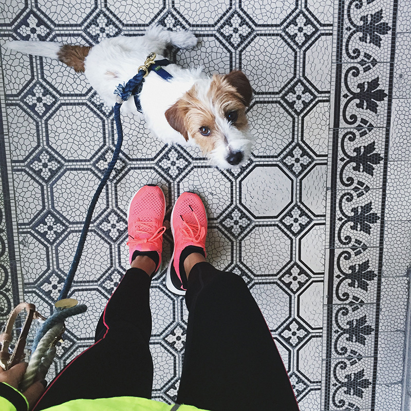 Berries&Passion_2weeksoffitness5