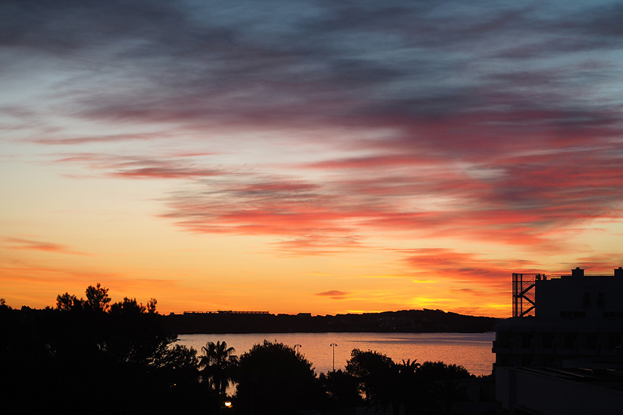 berries&passion_ibiza20