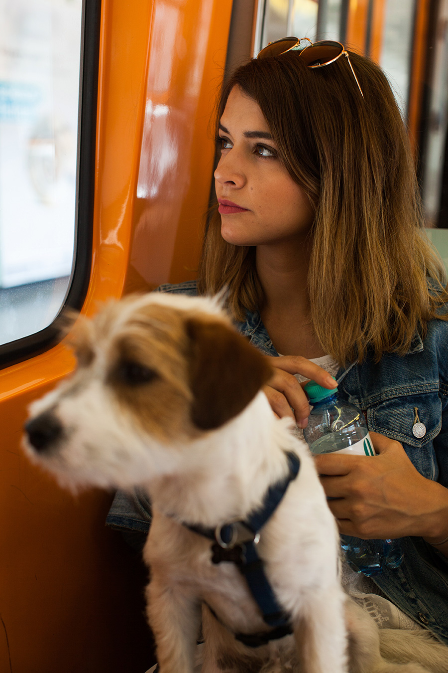 berries&passion_pocket2