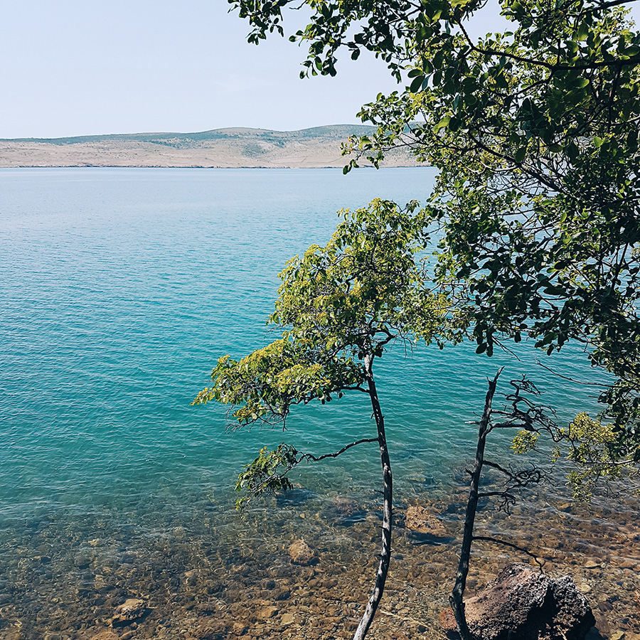 berries&passion_Kroatien13