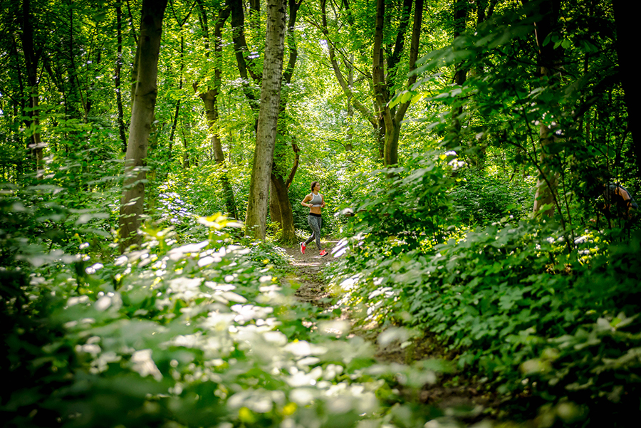 berries&passion_Schaerdinger1